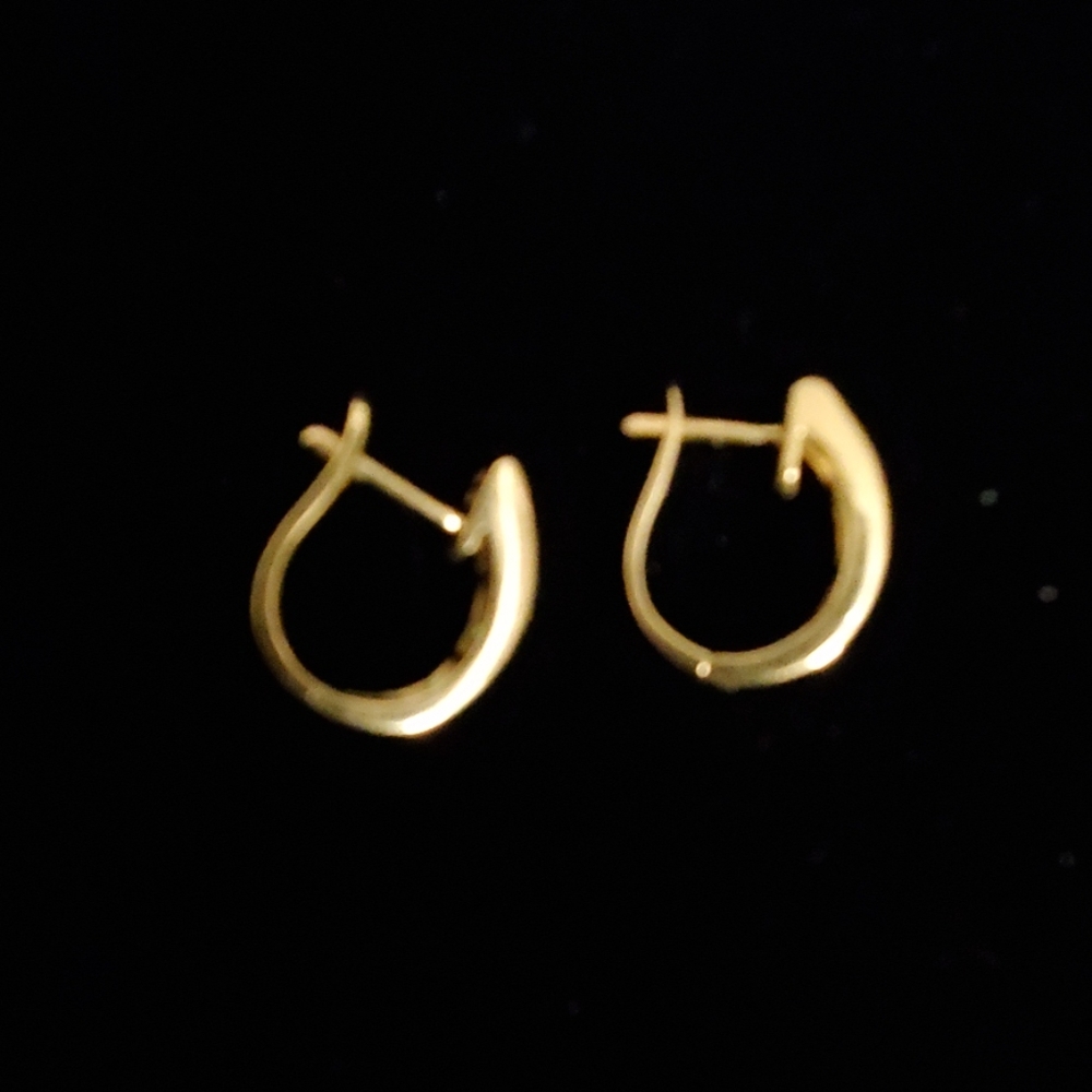 Gold Hinged  Earrings